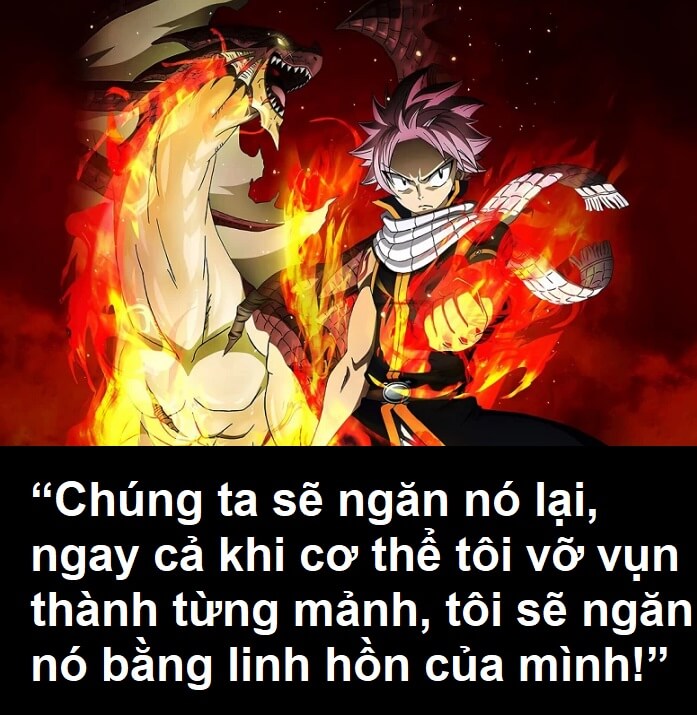 Tổng hợp những câu nói hay trong Fairy Tail cực ý nghĩa và đáng để suy ngẫm