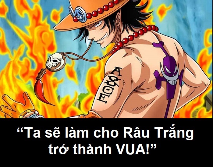 Những câu nói hay trong One Piece khiến người xem xúc động, bật khóc