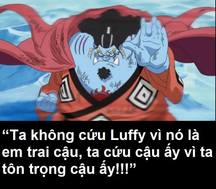 Những câu nói hay trong One Piece khiến người xem xúc động, bật khóc