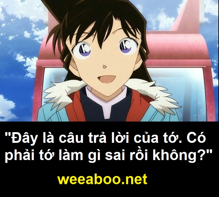 Những câu nói hay trong Thám tử lừng danh Conan