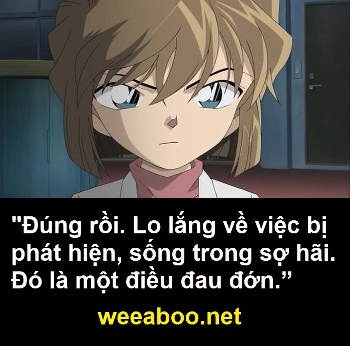 Những câu nói hay trong Thám tử lừng danh Conan